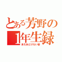 とある芳野の１年生録（まだあどけない姿）