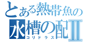 とある熱帯魚の水槽の配信Ⅱ（コリドラス）