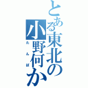 とある東北の小野何か（たんぽ）