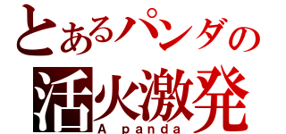 とあるパンダの活火激発（Ａ ｐａｎｄａ）