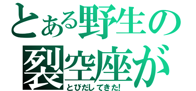 とある野生の裂空座が（とびだしてきた！）