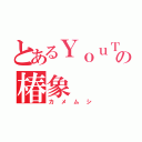 とあるＹｏｕＴｕｂｅｒの椿象（カメムシ）