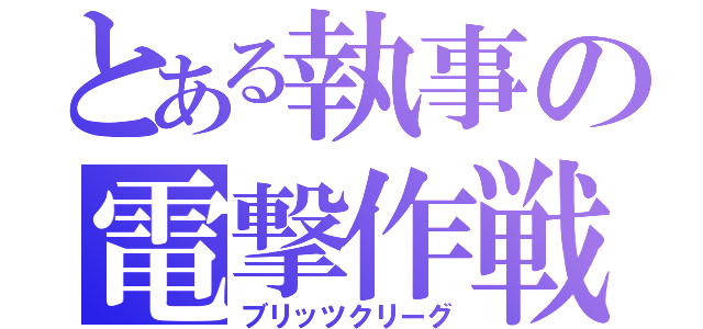 とある執事の電撃作戦（ブリッツクリーグ）