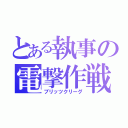 とある執事の電撃作戦（ブリッツクリーグ）