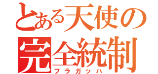 とある天使の完全統制振動（フラガッハ）