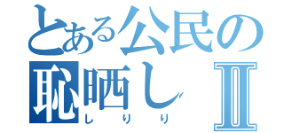 とある公民の恥晒しⅡ（し　り　り）