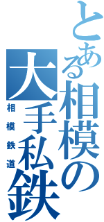 とある相模の大手私鉄（相模鉄道）