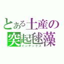 とある土産の突起毬藻（インデックス）