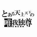 とある天上天下の唯我独尊（自画自賛斬）