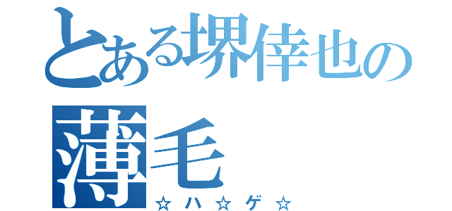 とある堺倖也の薄毛（☆ハ☆ゲ☆）