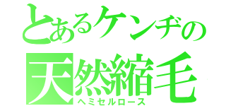 とあるケンヂの天然縮毛（ヘミセルロース）