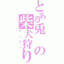 とある兎の柴犬狩り（ワンワン）