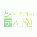 とある中学生のテスト勉強（じゃましないでください）