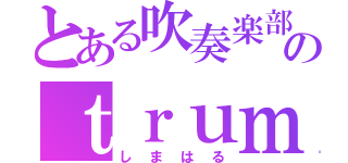 とある吹奏楽部のｔｒｕｍｐｅｔ（しまはる）