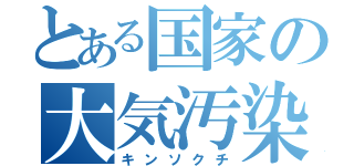 とある国家の大気汚染（キンソクチ）