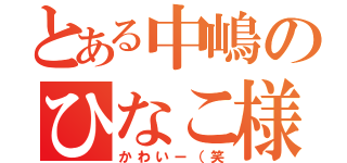 とある中嶋のひなこ様（かわいー（笑）