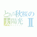 とある秋桜の太陽光Ⅱ（サンシャィン）