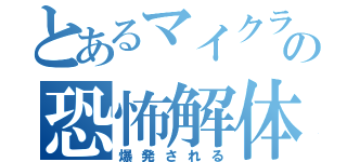 とあるマイクラの恐怖解体（爆発される）