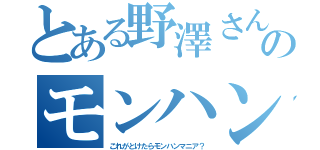 とある野澤さんのモンハン（これがとけたらモンハンマニア？）