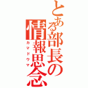 とある部長の情報思念体（カマドウマ）