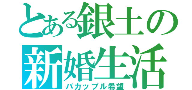 とある銀土の新婚生活（バカップル希望）