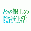 とある銀土の新婚生活（バカップル希望）