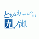 とあるカゲロウの九ノ瀬（コノハ）