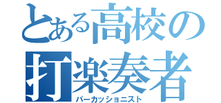 とある高校の打楽奏者（パーカッショニスト）