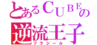 とあるＣＵＢＥの逆流王子（フラジール）