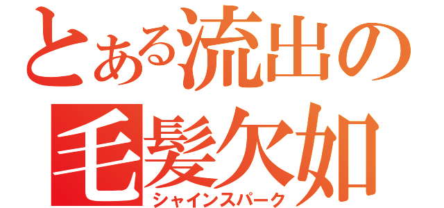 とある流出の毛髪欠如（シャインスパーク）