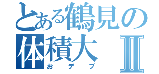 とある鶴見の体積大Ⅱ（おデブ）