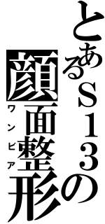 とあるＳ１３の顔面整形（ワンビア）