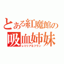 とある紅魔館の吸血姉妹（レミリア＆フラン）