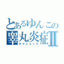 とあるゆんこの睾丸炎症Ⅱ（タマショック）