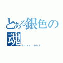 とある銀色の魂（Ｓｉｌｖｅｒ Ｓｏｕｌ）