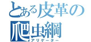 とある皮革の爬虫綱（アリゲーター）