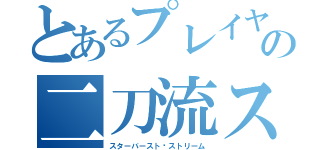 とあるプレイヤーの二刀流スキル（スターバースト•ストリーム）