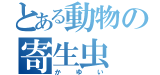 とある動物の寄生虫（かゆい）