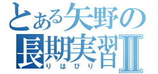 とある矢野の長期実習Ⅱ（りはびり）