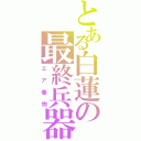 とある白蓮の最終兵器（エア巻物）