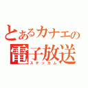 とあるカナエの電子放送（ステッカム）