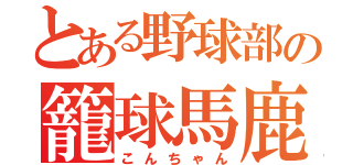 とある野球部の籠球馬鹿（こんちゃん）