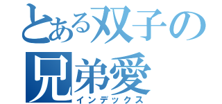 とある双子の兄弟愛（インデックス）