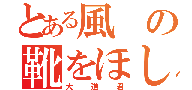 とある風の靴をほしがる（大道君）