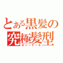 とある黒髪の究極髪型（ポニーテール）