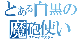 とある白黒の魔砲使い（スパークマスター）