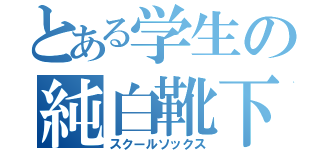 とある学生の純白靴下（スクールソックス）