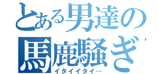 とある男達の馬鹿騒ぎ（イタイイタイ…）