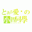 とある愛你の小智同學（インデックス）