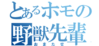 とあるホモの野獣先輩（おまたせ）